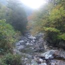 국립미천골자연휴양림 이미지