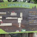 초록슈피아 캠핑장 이미지