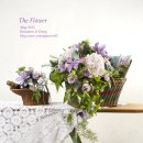 벤자민&데이지 이미지