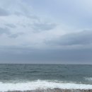 낭만왈왈이 이미지