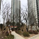 거제 장평포레나 이미지