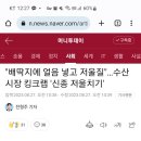 갤러리 저울