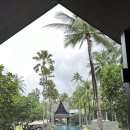 팜디 | 트윈팜스 푸켓 호텔 / 팜디럭스룸,수영장,조식,트립닷컴예약후기(최저가보상제)