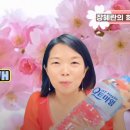 주식회사 옐로우버켓