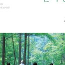 숲 걷기 명상 이미지