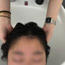 이서면 소로3-146(혁신) | 전주혁신도시클리닉:: 단헤어디자인 전주혁신점, 단케어로 속까지 채워주는 모발클리닉 후기