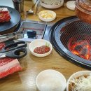 한양본갈비 티스토리