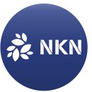 엔케이엔(NKN)