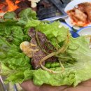 세방골한우촌 | [성서 맛집] 가족외식 단골집 한우맛집 ‘세방골 한우촌’
