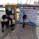 대영낚시