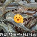 윤창호농장 네이버블로그