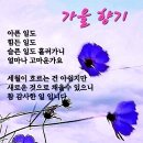 왕고문가족 동서와함께 팔봉산 켐핑장에서 추억을만들다 ~~ㆍ 이미지