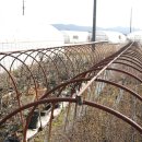 명자농장 이미지