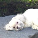 오늘의 쿡 이미지