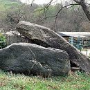 대곡동지석묘군 이미지