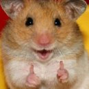 오층조은약국 | 라이즈 도쿄돔 콘서트 후기(도쿄돔호텔, 도쿄돔 1층 사이드 시야+좌석도, 파라타항공 병크)