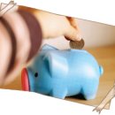 돼지한마리 이미지