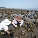 선라이즈펜션 이미지