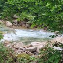 다연펜션 이미지