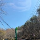 4 | [전남/화순]한천자연휴양림 1박 후기(만연산4호)