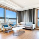 도미니클라바 이미지