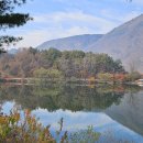 장령산자연휴양림 이미지