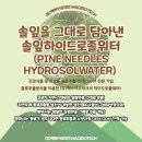 솔잎테크