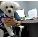 닥터팬더 동물병원 이미지