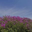 주월산 패러글라이딩장 화장실 | 철쭉 산행..., 보성 초암산→주월산→방장산 환종주 트래킹