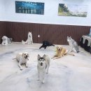 무크스페이스 이미지