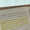 25.06.20 금요일 | 조세민의 축구 생각 이미지