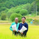 [선도 농가]쌀 생산하는 김민순·김동성 씨 부자 이미지