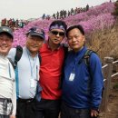 남대전고등학교 이미지