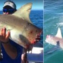 무태스포츠 이미지