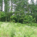 흙집풍경 이미지