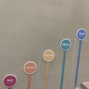 씨제이올리브영(주)NC신구로점 | 실내클라이밍 추천 피커스 구로점 구로역 클라이밍장 방문 후기