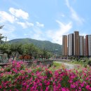 천본2리경로당 네이버블로그