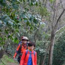 69회 버스도보(3월24.25일) 목포여행. 유달산. 입암산. 고하도 둘레길걷기..2 이미지