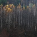 동점초등학교 이미지