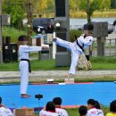 한사랑 태권도(세종도장) 이미지