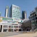 세종스포츠마트 이미지