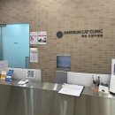 해든고양이병원 이미지