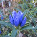 용담한의원 이미지