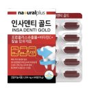 해조하우스 이미지