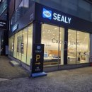 연제구-104 | 연제구침대 보러 다니다가, 씰리침대 해운대점에서 기준이 잡힌 날