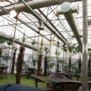 코코테로 이미지