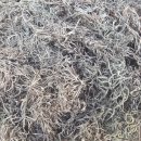 세모유통 이미지