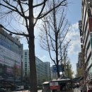 분당종로약국 앞 이미지