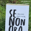 세논오라
