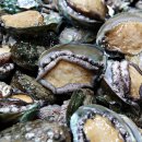 가삼골전복순두부 이미지